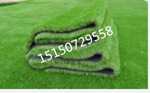 ٲƺƤ