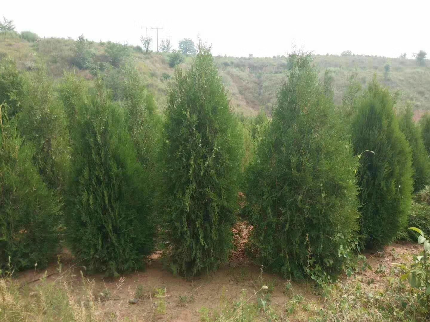 Ȱ23456