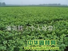 yӘС硢yӘ䮔(dng)
