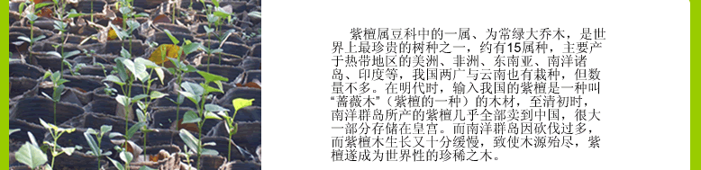 ̴N硢硢N硢̴N