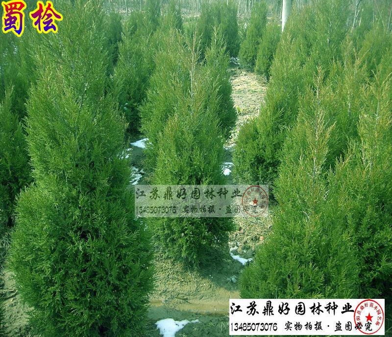 150CMu硢硢̙u