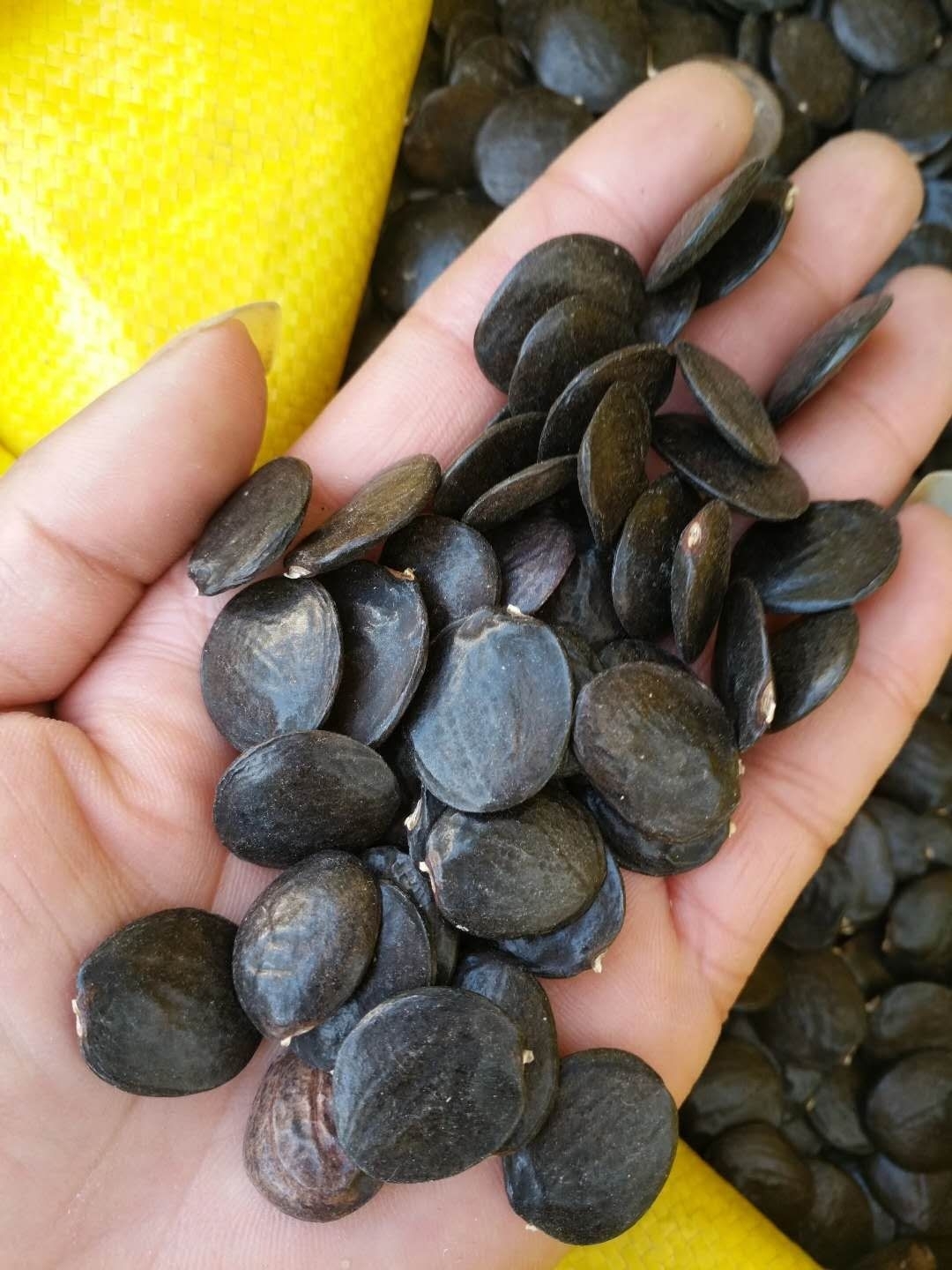 ٷNӡٻN