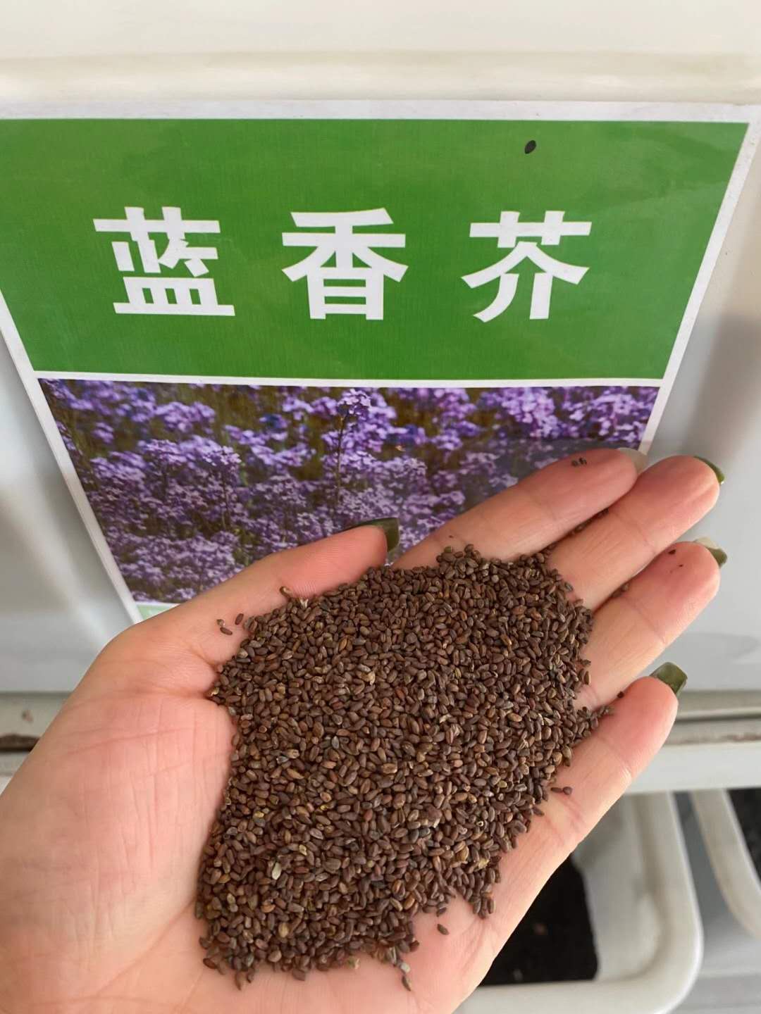 fWmNӡm顢mͲ˻N