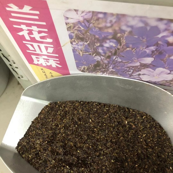 {S顢ȷN