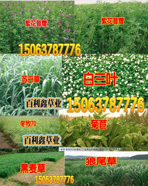 ղݷN