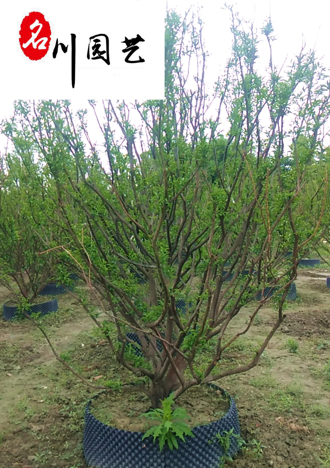 ݘ硢ԺB󃞻ݡĴɶݘ