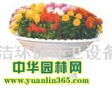 Ƥ  辰