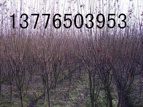 6-7-8ּt~