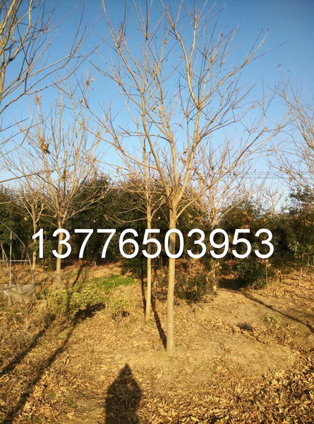 12-13ֹ֟oӘb܇rXһ