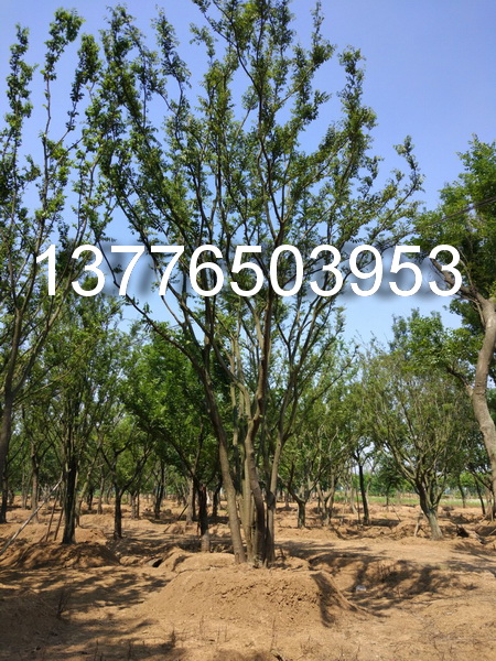 20֘䡢