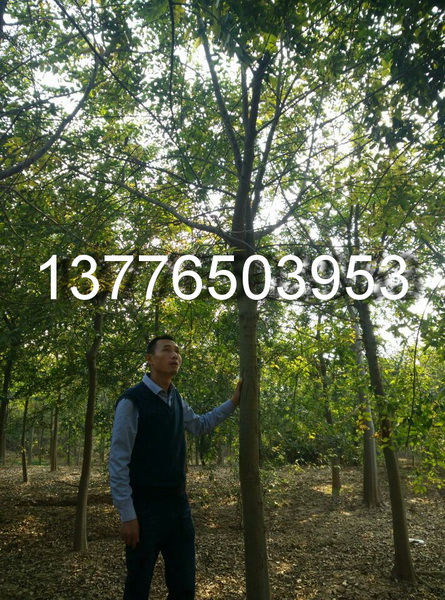 81012֘䡢ֲ䡢