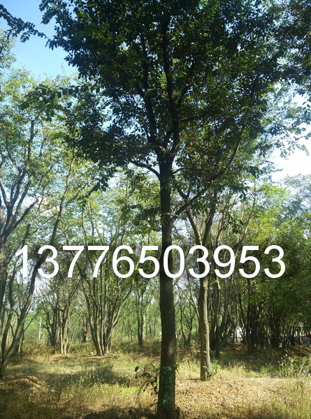 ľ121518Ҏ(gu)