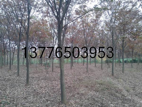 8-10-12֙Θr(ji)񡢽KΘl(f)