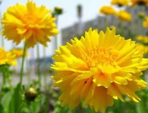 ϵ؅^(q)(yu)uշN