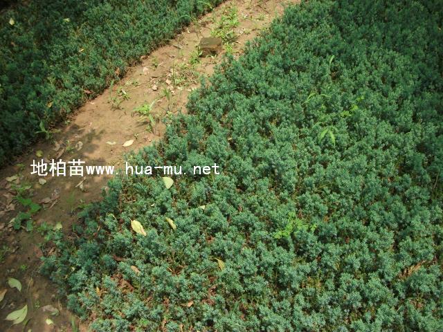 u,ذ,Ȱ,,,̰