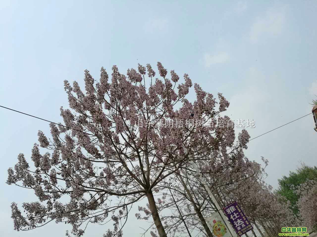 ͩԡͩ1̖Nֲͩͩͩ硢ͩ