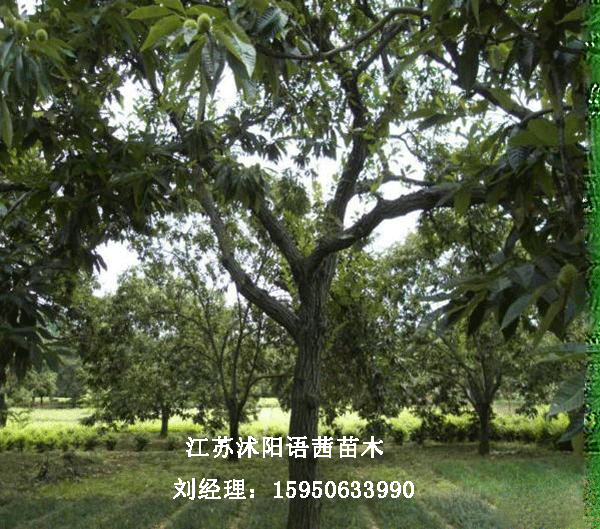 10-35Ә