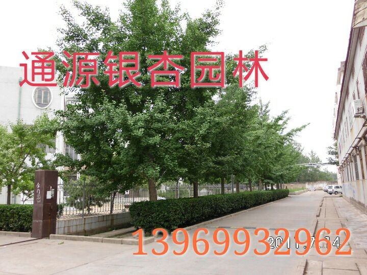 yӘ䡢yӘС