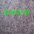 ɳ뻱~ݵo·N