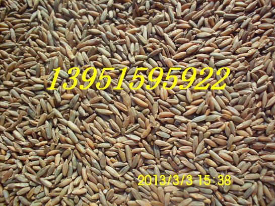 һݡ70
