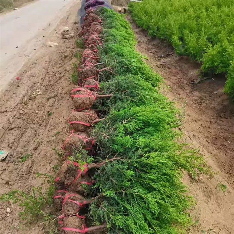 20f50-70u؝ˮóɻ