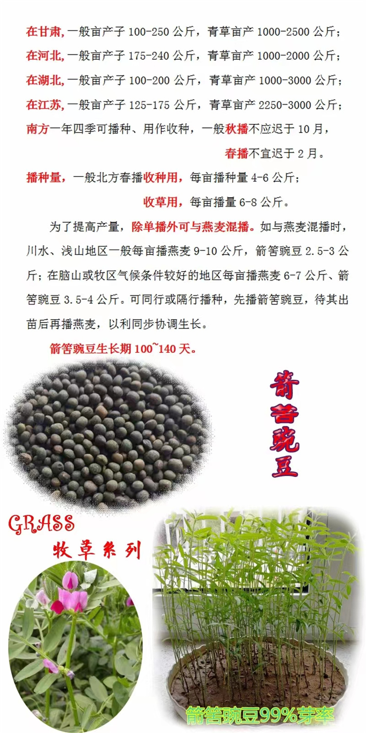 伾;GϻӡQ㶹365