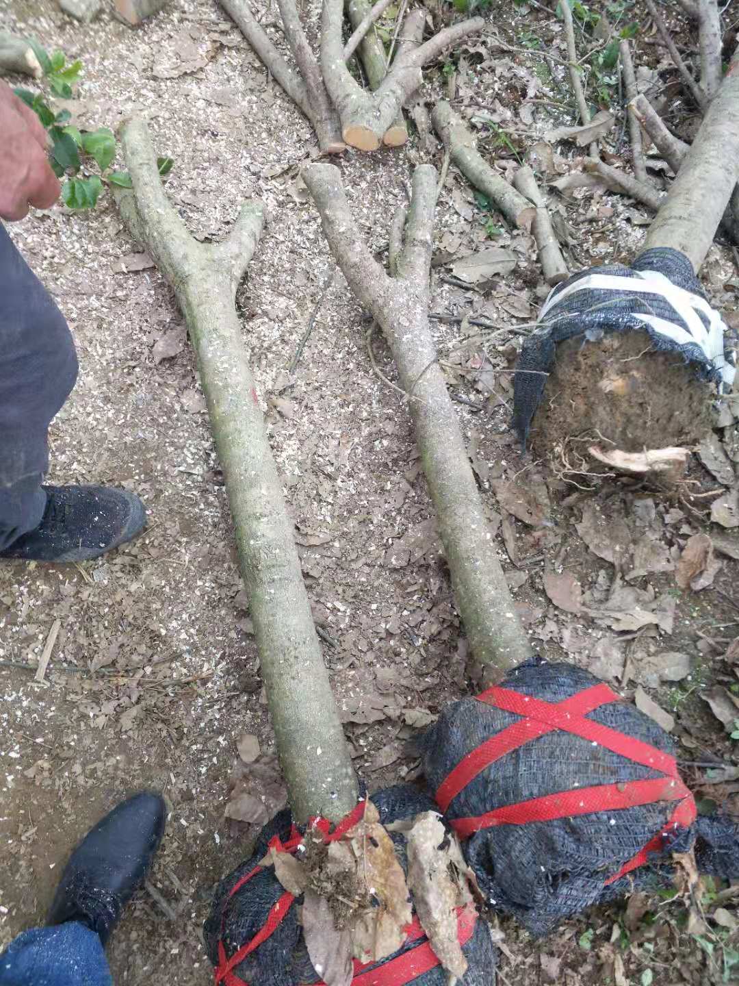 3-15