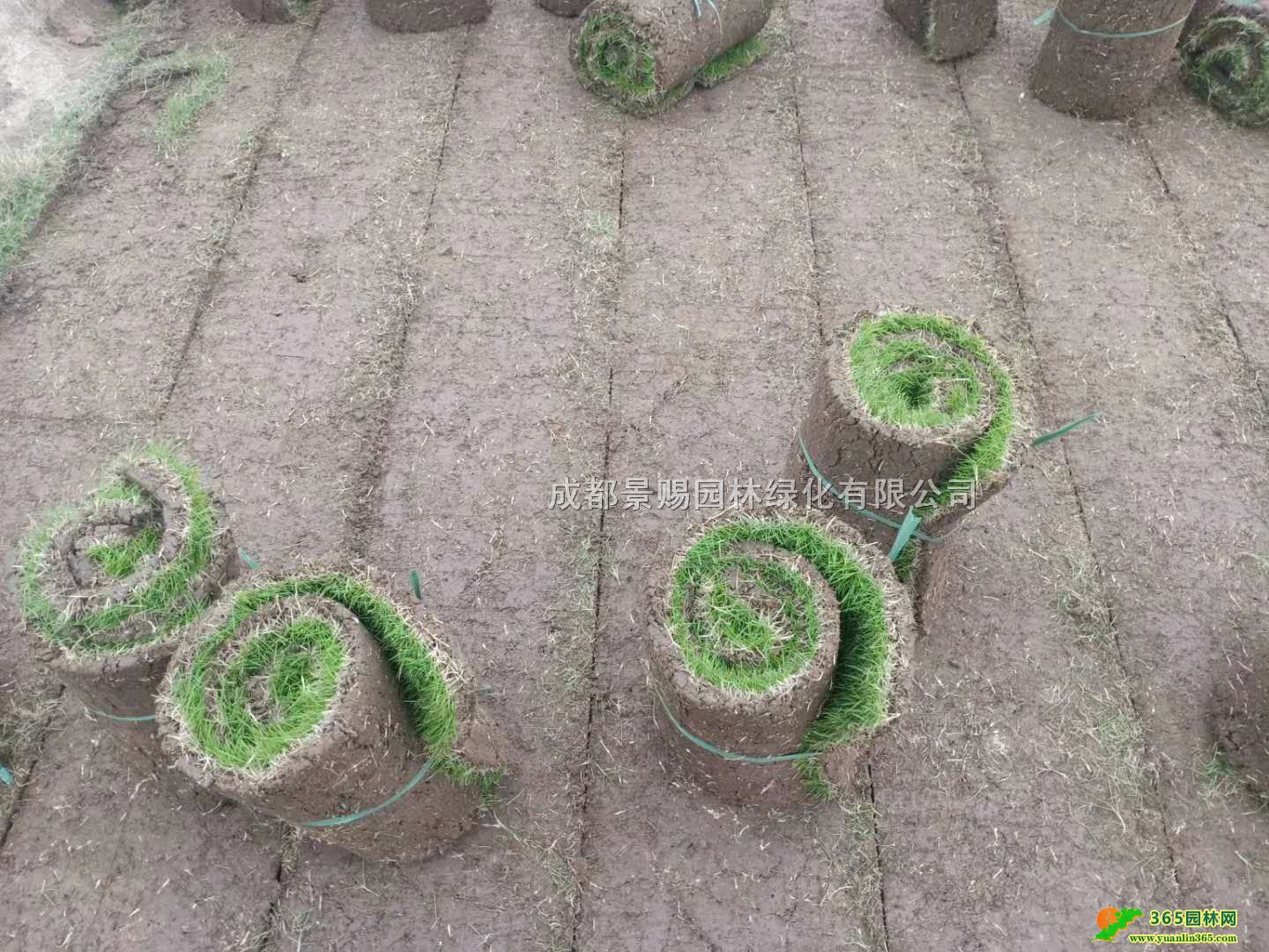 _̖lء_̖ƺ_̖ƺĴ