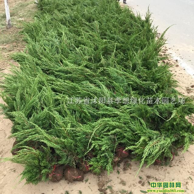 عڷ20-3050f