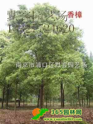 r2025r