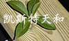 P˹؈@Oʩ޹˾