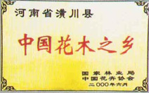 괨ǿľľԈ