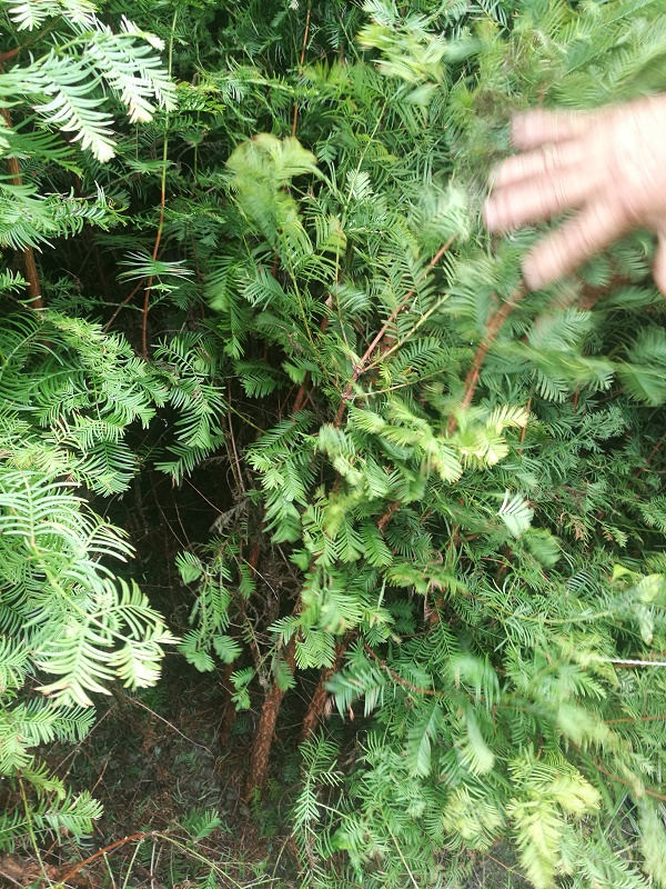 ˮɼDƬ