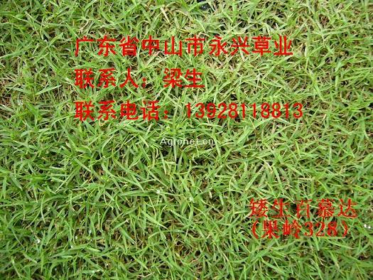 Ľ_X328DƬ